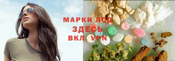 шишки Михайлов