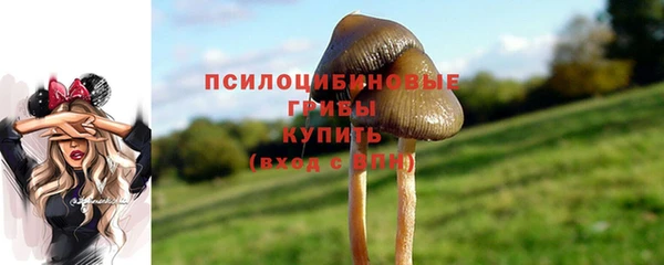 амф Михайловск