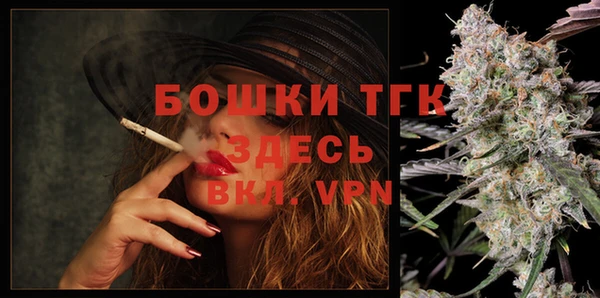 шишки Михайлов