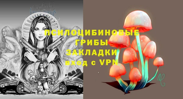 шишки Михайлов