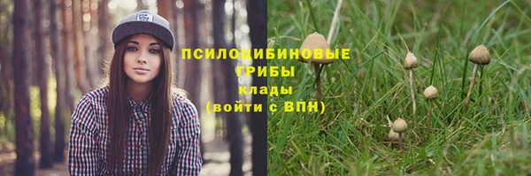 шишки Михайлов