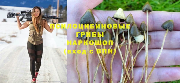 амф Михайловск