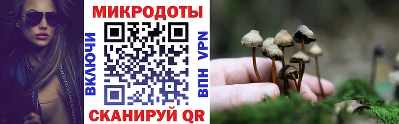 Галлюциногенные грибы GOLDEN TEACHER Ессентукская