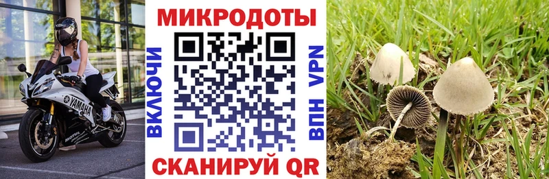 Галлюциногенные грибы мицелий  Ессентукская 