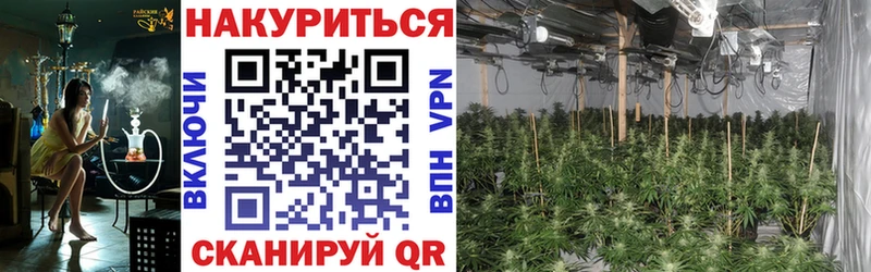 где можно купить   Ессентукская  Бошки Шишки THC 21% 